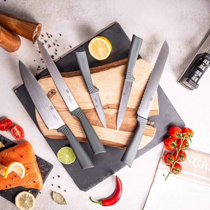 Набір ножів Karl Hausmann 5 предметів: набір ножів, ніжний блок, кухонні ножі з нержавіючої сталі (сірий)