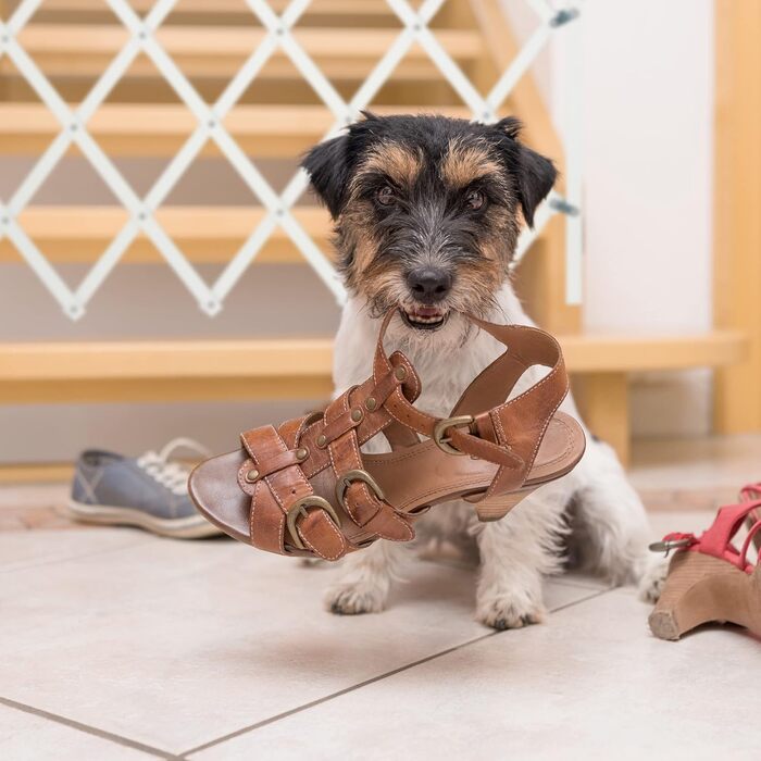 Захисне ворота для собак Relaxdays, розтягується до 130 см, висота 87,5-100 см, бамбук, білий (M)