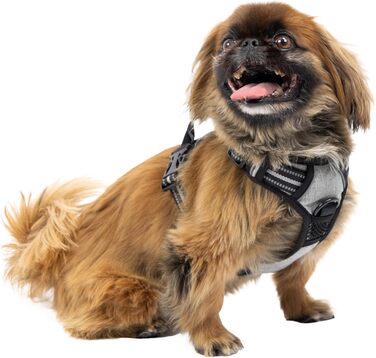 Шлейка для собак Ferplast середнього розміру, 2 гачки для контролю, анти-тяга, регульована, світловідбиваюча та дихаюча, ідеальна для тренувань, M, Бежевий (Сірий, S)