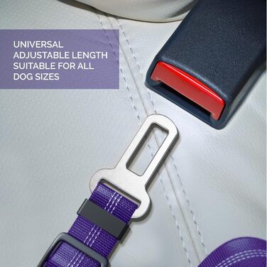 Авторемні для собак: регульовані та міцні авторемні для собак, нейлон, з еластичним буфером, фіолетовий
