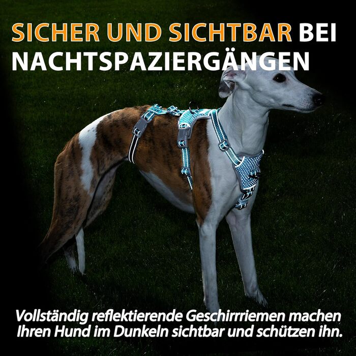 Шлейка Huntboo для собак: безпечна від виривання, антистресова, з відбиваючими елементами, регульована, легка (розмір S, блакитна)