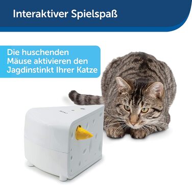 PetSafe Cheese Cat Toy, Interactive Enrichment Toy with Timer, ‎3 AA Batteries Required