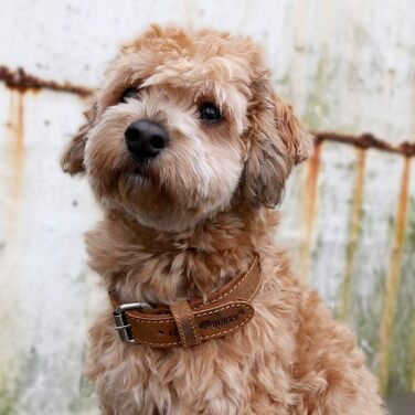 Greenburry В'язаний ошийник для собак з натуральної шкіри, 60 см, L