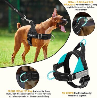 Нашийник для собак Eyein з повідком для великих та середніх собак, м'який, з 2 кліпсами для повідка, світловідбиваючий, легкий, анти-тяга, для прогулянок та тренувань, чорний, розмір L