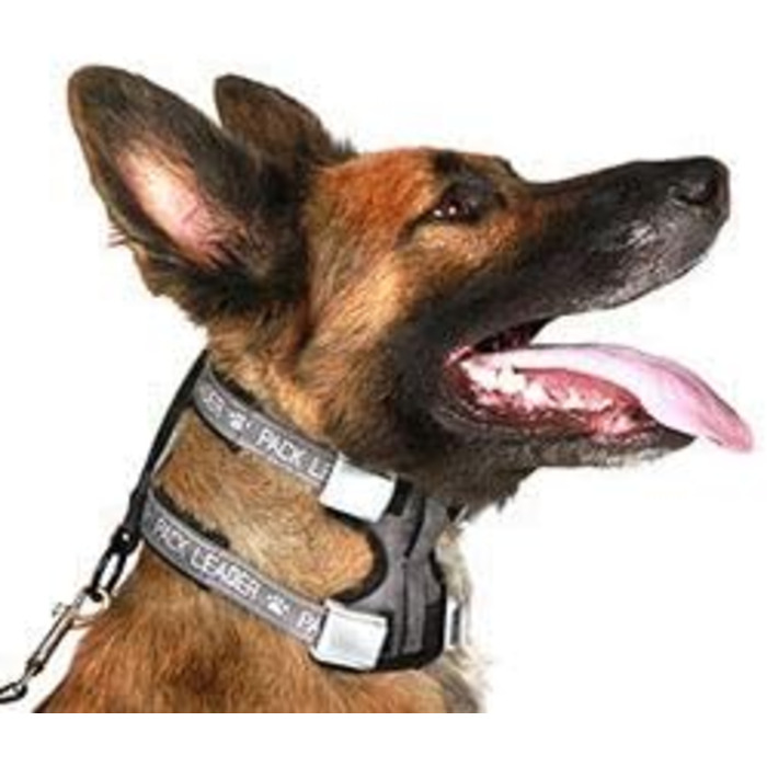 Pack Leader Collar™ - Dog Trainer Cesar Millan's Training Collar (Medium) (Blue, S)