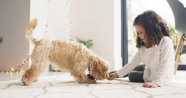 BISSELL SpotClean ProHeat: Професійний мийкий пилосос для килимів та оббивки з HeatWave технологією