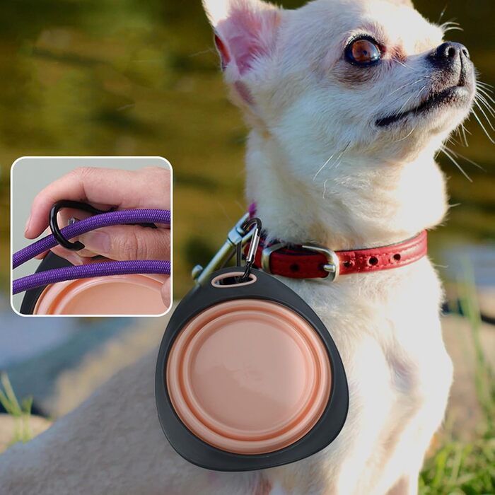 3 складні миски для собак, силіконові дорожні миски для води та їжі, портативні миски для тварин з карабіном