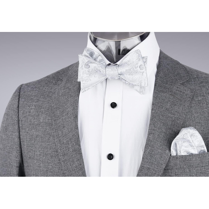 Комплект краватка-хустинка Alizeal Paisley сріблястий, чоловічий, однорозмірний