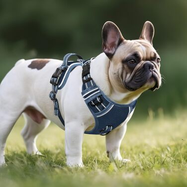 Шлейка для собак HEELE з регулюванням натягу, світловідбиваюча, для середніх собак, з м'якою ручкою, коричнева, розмір M (обхват грудей 38-71 см)
