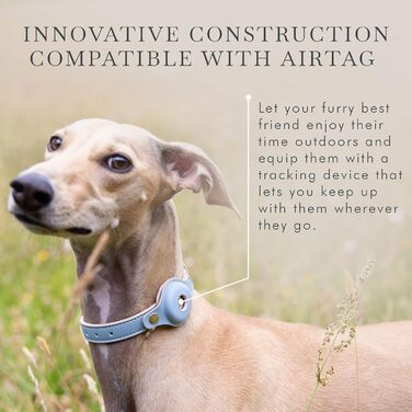 Cupertino Dog Collars, Harnesses & Leashes made of vegan leather with dog tracker device holder, adjustable dog collar (Small (Neck: 12x15), Pink) (Medium (Neck: 15x19), Blue)
