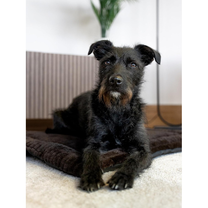 Підстилка для собак та котів Harmony Flex 90x65 см з водонепроникним дном