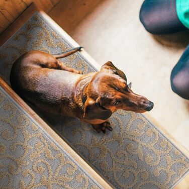 Сходинкові сходи Sussexhome Leaves Collection Beige - набір 13 шт.