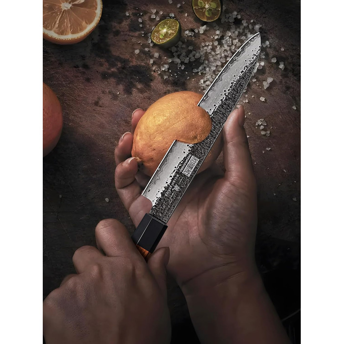 Професійний японський кухонний ніж HOSHANHO Gyuto, шеф-ніж 20 см для м'яса та овочів