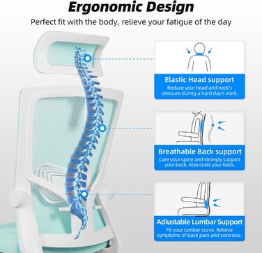 Ергономічне крісло Daccormax для офісу: регульована підголовник, підлокітники, підтримка попереку, поворотний механізм, функція гойдання, сітчасте крісло, турбота про спину, 150 кг (Турквіс)