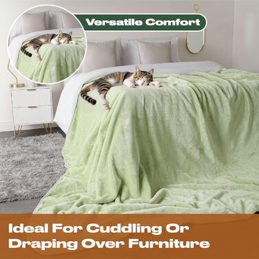 Плед DREAMSCENE з штучного хутра, флісу, м'який, теплий, великий, для ліжка (125 x 150 см, світло-зелений)