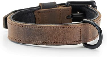 Нашийник для собак Джек Рассел з натуральної шкіри та неопрену – м'який та міцний нашийник для маленьких та великих собак – преміум нашийник Craig (L) L (42.0-51.0 см)