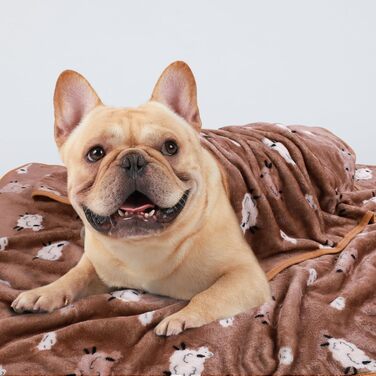 М'яка ковдра для собак та котів Luciphia: тепла флісова ковдра 3 шт. 104*76 см (60*40 см, вівчина)