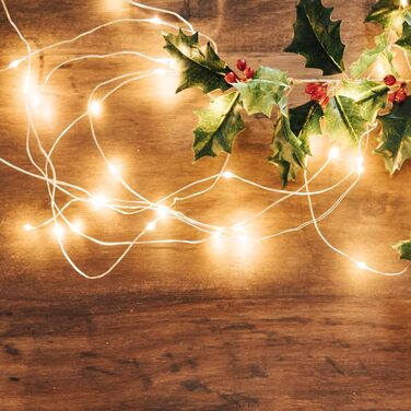 LED гірлянда SALCAR, 1000 світлодіодів, 20м, мідний дріт, 8 режимів, вологостійка, для декору кімнат, ялинок, саду, вечірок, святкування, тепле біле світло