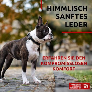 Нашийник для собак WAUDOG: шкіряний нашийник для великих, середніх та маленьких собак, кошенят. Ширина 15-20 мм, довжина 27-36/30-39 см. З цифровою міткою.