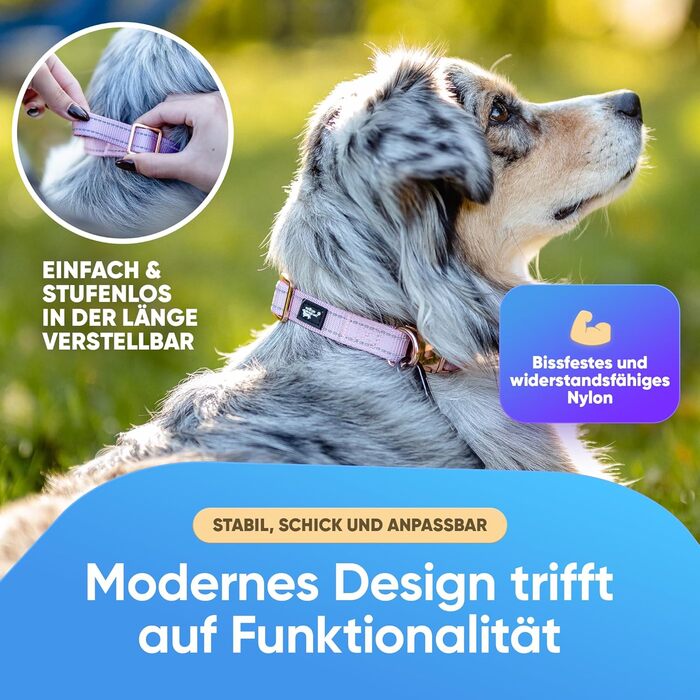 Водонепроникний нашийник для собак Leuchthal — регульований, 40-65 см, світловідбиваючий замок, флуоресцентна нитка