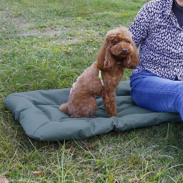 Килимок для собак Bangminda: миючий, для подорожей, кемпінгу, на вулицю, водонепроникний, 90x60 см, сірий