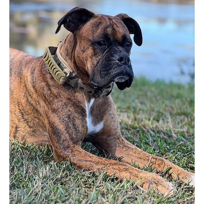 Персоналізоване тактичне нашийник для собак середніх та великих порід, нашийник з іменем та номером телефону (стиль B)