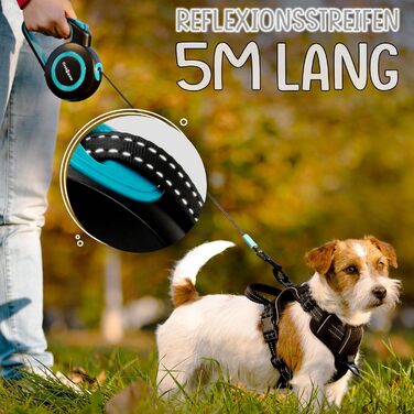 Висувна поводок для собак Rollleine 5м з функцією зупинки - зручний поводок для прогулянок, підходить для собак маленьких та середніх порід (до 20 кг), колір блакитний