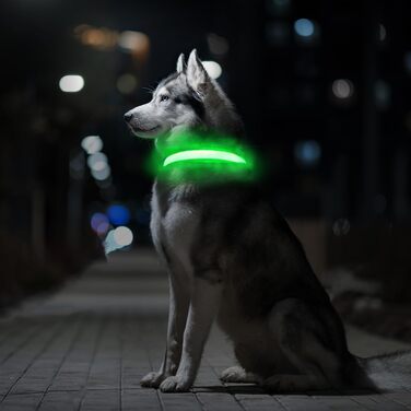 Світловідбиваючий нашийник для собак MABRILL з LED підсвічуванням, водонепроникний, регульований, 3 режими світла, зелений (L)