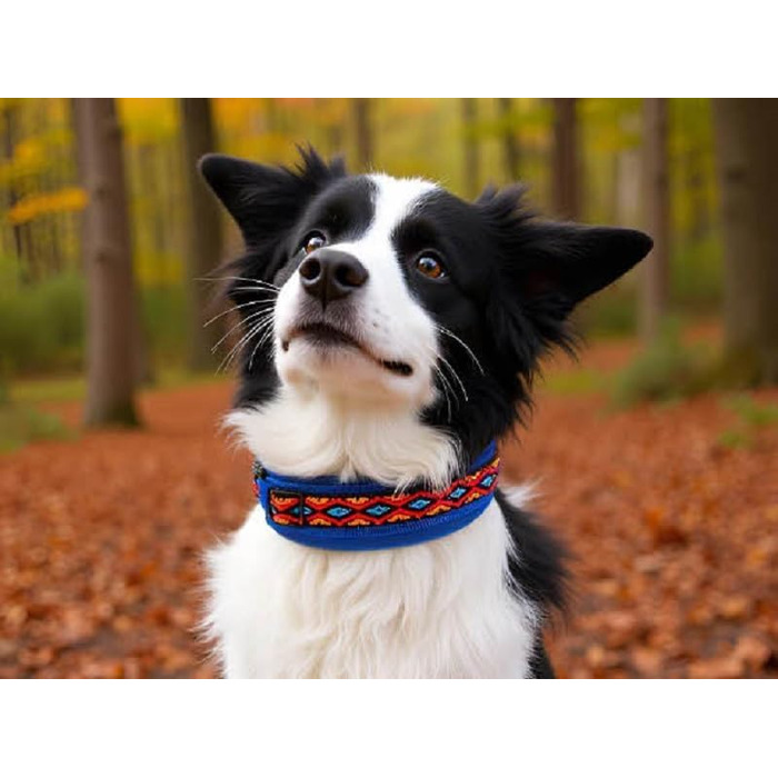 Нашийник для собак Extra-Wide & Soft з неопреновим наповнювачем, кольоровий на синьому, розмір XS (32-37 см)