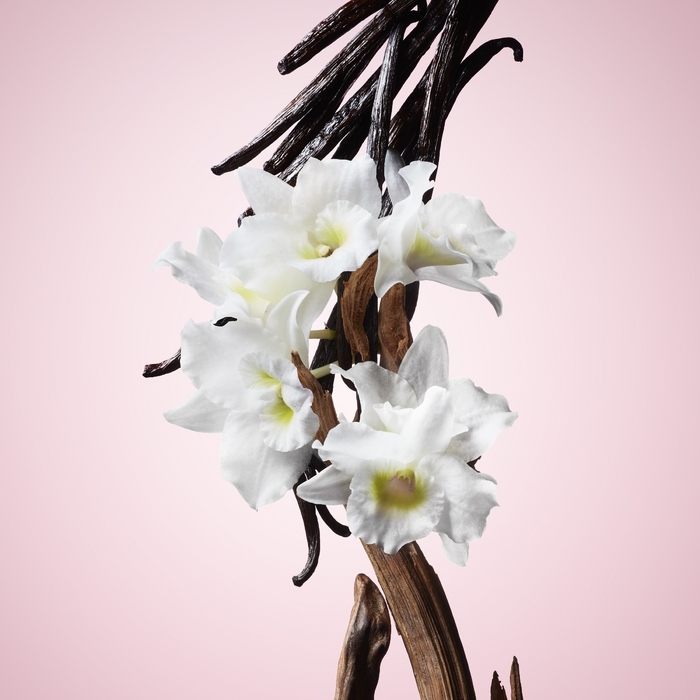 Парфумована вода для жінок Viktor & Rolf Flowerbomb, 100 мл