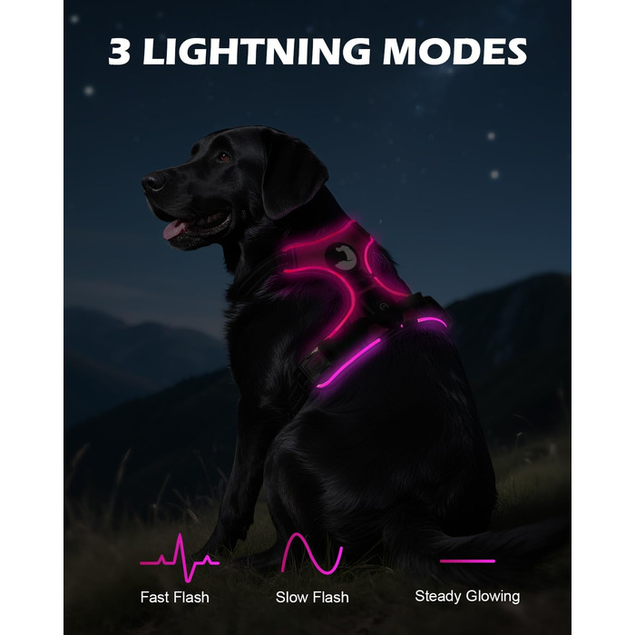 Світловідбиваючий нашийник для собак Joytale з LED, для середніх собак, не тягне, з ручкою, регульований, для нічних прогулянок, рожевий, розмір M (1 шт.)