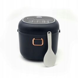 Автомобільна мультиварка-рисоварка 2л, туристична плита 12В/24В для TIR та мікроавтобусів