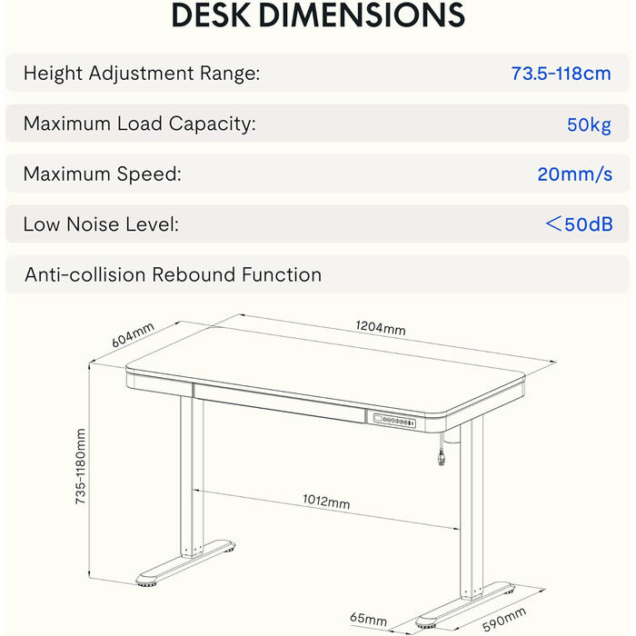 FLEXISPOT Electric Standing Desk with LED Display, Memory Function, USB Port & Drawer - 120x60cm Natural Oak