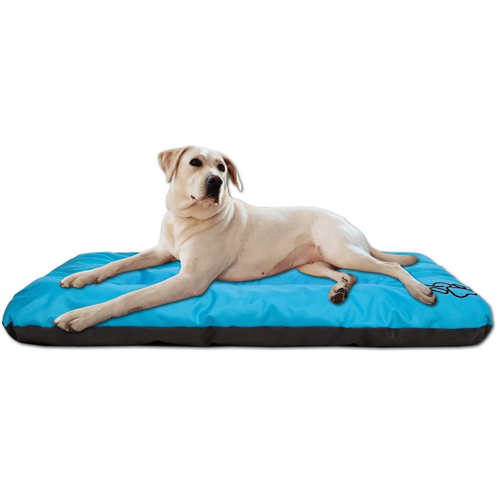 Килимок для собак, лежанка для собак великих, середніх та малих порід - вологостійкий, м'який, з піною, для вулиці та дому - 90x60x8 см, блакитний