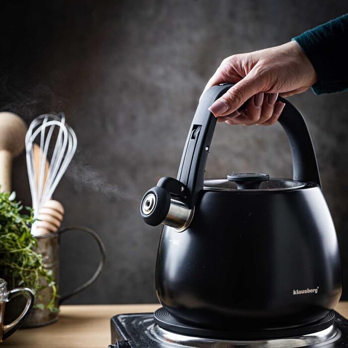 Чайник сталевий 2.5L Induktion (Чорний)