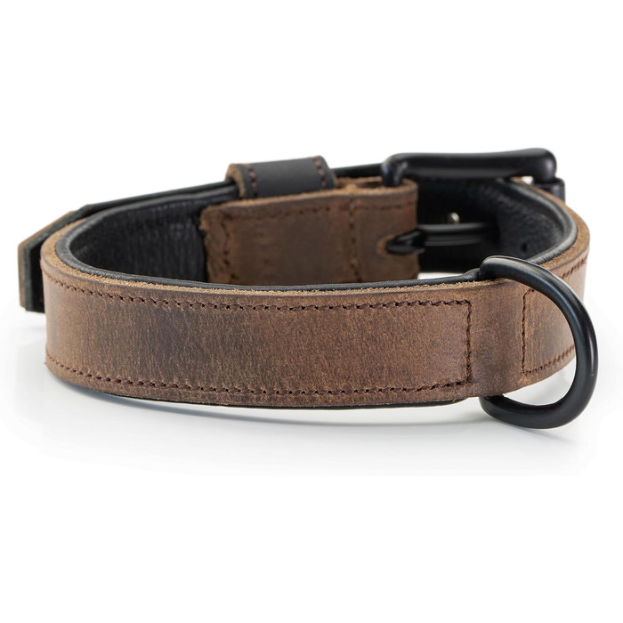 Нашийник для собак Джек Рассел з натуральної шкіри та неопрену – м'який та міцний нашийник для маленьких та великих собак – преміум нашийник Craig (L) L (42.0-51.0 см)