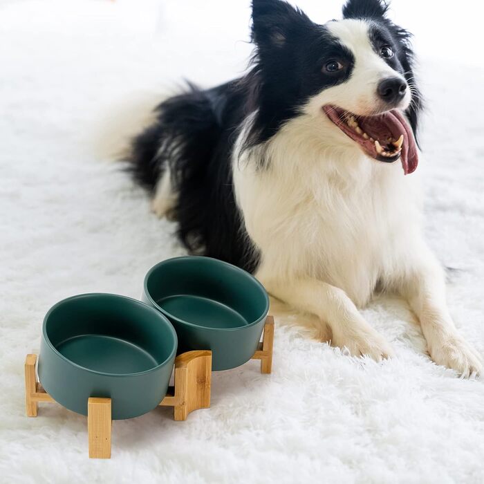 SpunkyJunky Adjustable Ceramic Dog Bowls - 2 Pack, 850ml, Green - Tiltable Pet Food Bowls for Dogs, Cats & Puppies with Bamboo Stand