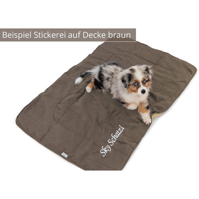 Декоративний плед для собак та котів з вишивкою імені, персоналізований, 4 кольори, м'який, двосторонній, з тедді-фактурою (сірий)