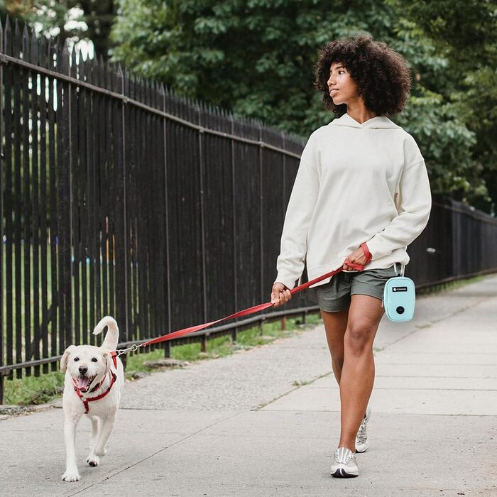 Сумка для ласощів та пакетиків для вигулу собак COOWONE, рожева (міні)