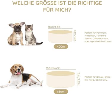 Набір мисок для котів та собак SPUNKYJUNKY з бамбукового підставки (400мл, Бежевий)