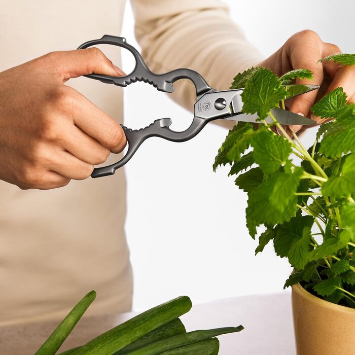 Кухонні ножиці NTS Solingen з нержавіючої сталі, Made in Germany. Якісні ножиці для кухні, підходять для правші та лівші. Класичний дизайн.