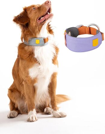 Нашийник для собак середнього розміру Woolly Wolf Alpha 360, колір Гляцієрово-зелений - екологічний, світловідбиваючий, для підвищеної безпеки при поганій видимості (L)