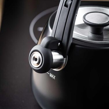 Чайник сталевий 2.5L Induktion (Чорний)