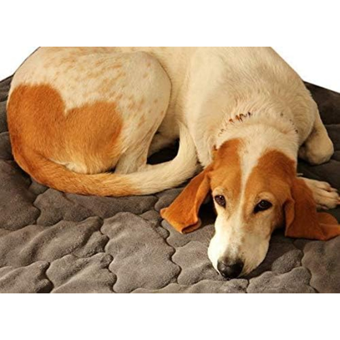 Антиалергенний коврик для собак GGM 100x120 см – швидковисихаючий, м'який, для собак, стійкий до бліх та кліщів, антрацитовий колір