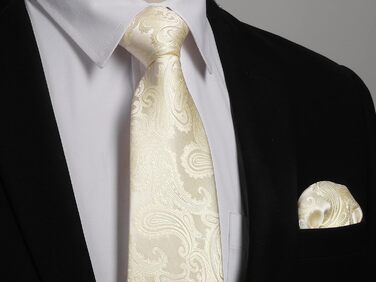 Краватка та нагрудна хустинка Enlision для весілля: шовковий комплект Paisley з латунними застібками для манжетів, бежевий/шампань