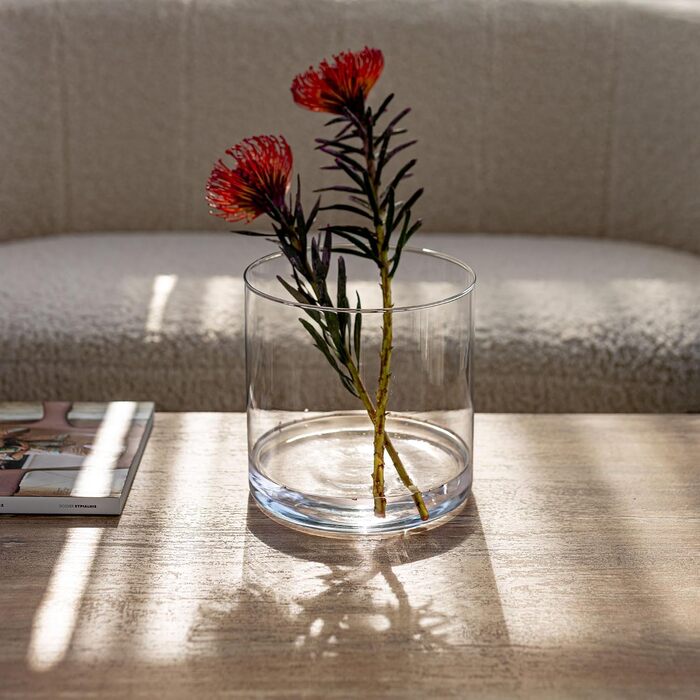 TREND Home Deko-Glass Containers 19 cm Cylinder Vase Flower Vase Candle Holder Stump Candles Candle Holders Glass Vase Floor Vase Large Decoration Wedding Transparent | Ø 19 cm | 4848 ml | Naida
