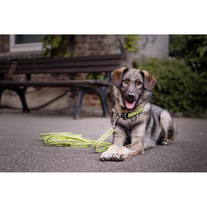 Нашийник для собак Sprenger з паракорду Nylon, 55 см, жовтий, з кліпсою з нержавіючої сталі, водовідштовхуючий, відбиваючий, міцний