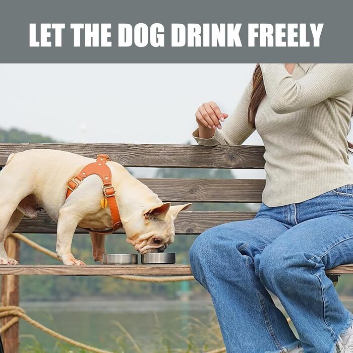 Портативна собача пляшка для води з мискою 950 мл – ізольована сталева фляга для собак, BPA-free для подорожей та прогулянок (Сірий, L)