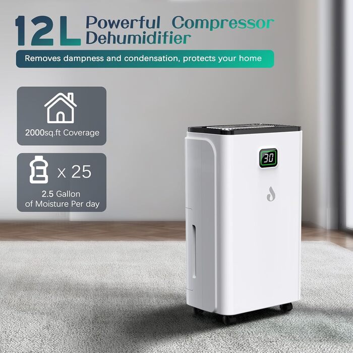12L/Day Dehumidifier with Digital Humidity Display, Automatic Dehumidification, 24H Timer, Continuous Drainage, 2.5L Water Tank, Drain Hose, Ideal for Basements, Against Moisture