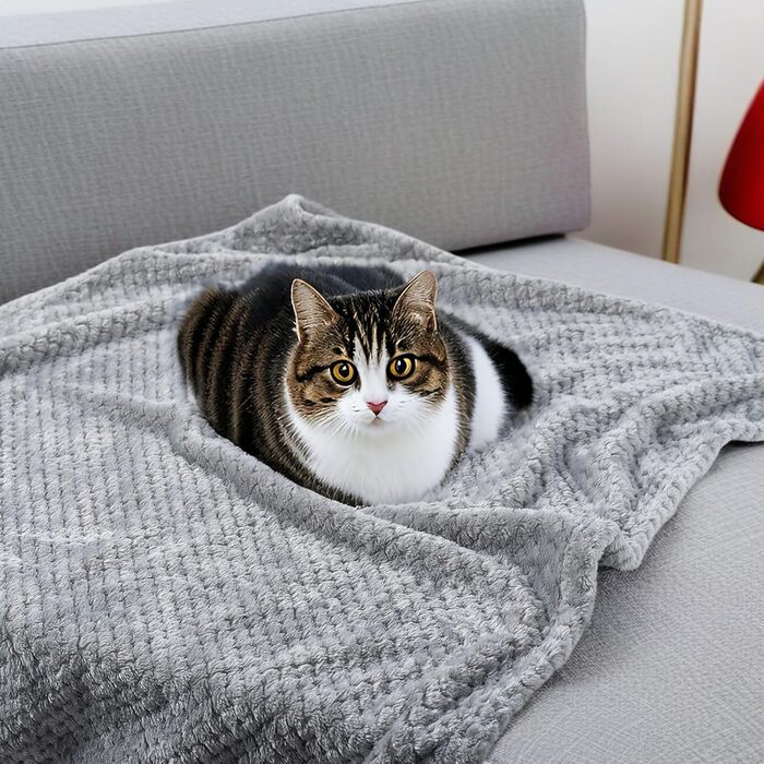 Двошарові ковдри для собак та котів SLSON, 70x100 см (сірий та білий)